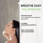 Shower Spa Mist Spray Manufacturer - Eucalyptus for Aromatherapy Sinus Congestion Relief