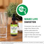 Stevia Leaf Extract Drops Manufacturer - Private Label Natural Organic Plant Based Liquid