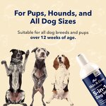 Dog Wash and Conditioner Manufacturer - All Natural 5-in-1 for Allergies Dry Itchy Skin