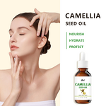 Camellia Seed Oil Manufacturer - Natural to Revitalize Hair Skin and Nails