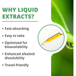 Stevia Leaf Extract Drops Manufacturer - Private Label Natural Organic Plant Based Liquid