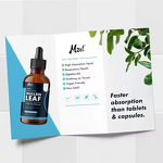 Mullein Leaf Extract Drops Manufacturer - OEM Private Label Natural Organic Liquid