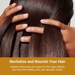 Nourishing Oil Manufacturer - Ganoderma Natural Anti-Greying Make Hair Thicker Strengthen