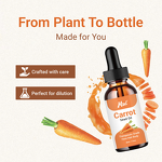 Carrot Seed Oil Manufacturer - Premium Cold-Pressed Carrier for Hair Skin Aromatherapy