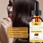 Nourishing Oil Manufacturer - Ganoderma Natural Anti-Greying Make Hair Thicker Strengthen