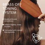 Blue Shampoo Manufacturer - Refreshes Neutralizes Brassy Tones for Color Treated Hair