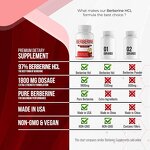 Berberine Capsules Manufacturer - High Purity Premium Berberine HCl 90 Vegan 1800mg