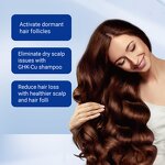 Copper Peptide Shampoo Manufacturer - Privare Label with GHK-Cu Anti Hair Loss