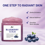 Body Scrub Manufacturer - Natural Organic Moisturizing Blueberry for Acne Scar Stretch Marks