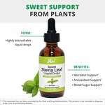 Stevia Leaf Extract Drops Manufacturer - Private Label Natural Organic Plant Based Liquid