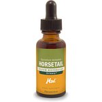 Horsetail Liquid Extract Manufacturer - Private Label Natural Equisetum Arvense Herbal Supplement