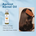 Apricot Kernel Oil Manufacturer - Private Label Organic Hair Moisturizer Rejuvenating Skin