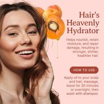 Apricot Kernel Oil Manufacturer - 100% Pure Organic for Skin Hair Soap Making Carrier