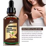 Ginger Treatment Oil Manufacturer - for Hair Loss Enhance Elasticity Smooth Silky Thicker
