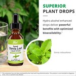 Stevia Leaf Extract Drops Manufacturer - Private Label Natural Organic Plant Based Liquid