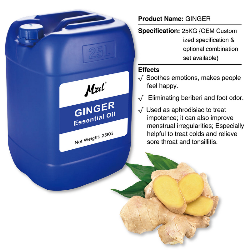 Ginger Essential Oil Manufacturer - Mzel Wholesale Price High Pure Natural Organic Bulk