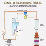 Neroli Essential Oil Manufacturer - Wholesale Natural Organic for Skin Soap & Candle