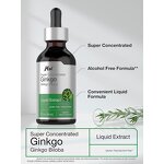 Ginkgo Biloba Extract Drops Manufacturer - Private Label Natural Ginkgo Leaf Herbal Supplement