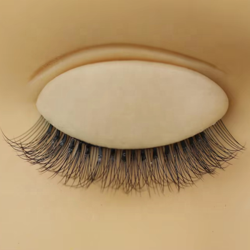 Premade Fans Manufacturer - OEM Discount Price 2D-10D 0.05-0.10mm Curl