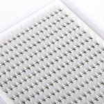 睫毛延长工厂-OEM 10D根尖0.07基扇形簇
