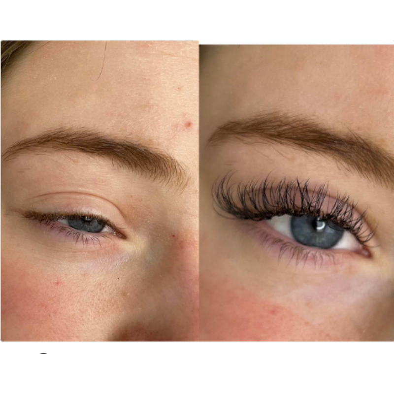 Eyelash Extension Factory - OEM 3D Camellia Classic Natural 1:1 Custom Label