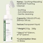 Facial Cleanser Manufacturer - Houttuynia Cordata Centella - Sensitive Skin Foam
