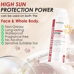 Sunscreen Cream Manufacturer - [Fragrance Free] SPF 50+ - Natural Sunblock Private Label