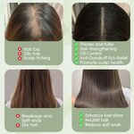 Hair Soap Manufacturer - 12 Herbal Plant Platycladus Leaf - Amino Acid Hair Strengthening