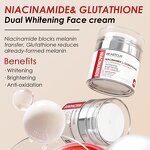 Whitening Cream Manufacturer - Alpha Arbutin Niacinamide - Dark Spot Women Cream