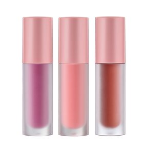 Matte Lipstick Manufacturer - Factory Price - Private Label Multi Colored Small Sample