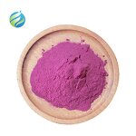 Dragon Fruit Powder Manufacturer - Pure Natural 100% Water Soluble Red Pitaya