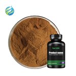 Ajuga Turkestanica Extract Manufacturer - Wholesale Bulk 2% 10% Root 1% Turkesterone