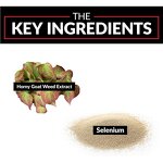 Men Health Capsules Manufacturer - Power Extract Epimedium for Stamina Enhancement