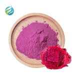 Dragon Fruit Powder Manufacturer - Pure Natural 100% Water Soluble Red Pitaya