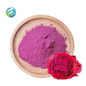 Dragon Fruit Powder Manufacturer - Pure Natural 100% Water Soluble Red Pitaya