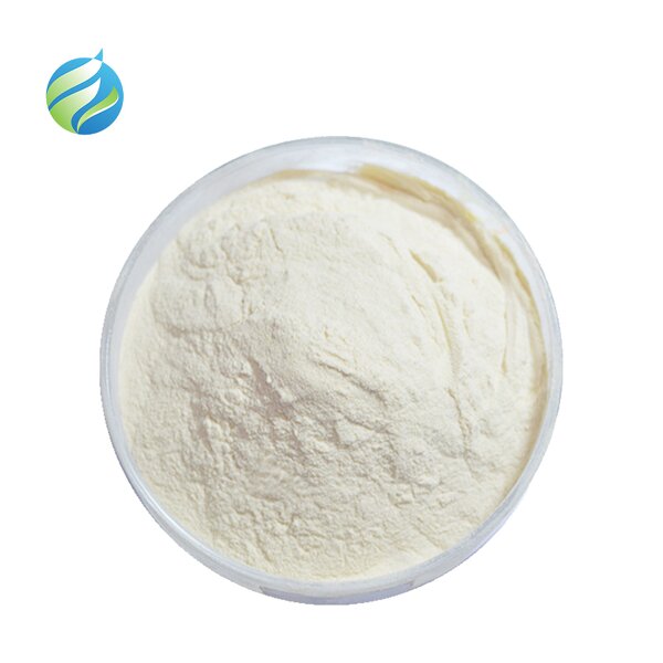 Xanthan Gum Manufacturer - Free Sample Supplier Food Grade 25kg 80 200Mesh