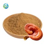 Reishi Mushroom Extract Manufacturer - Wholesale Polysaccharides 40% Pure