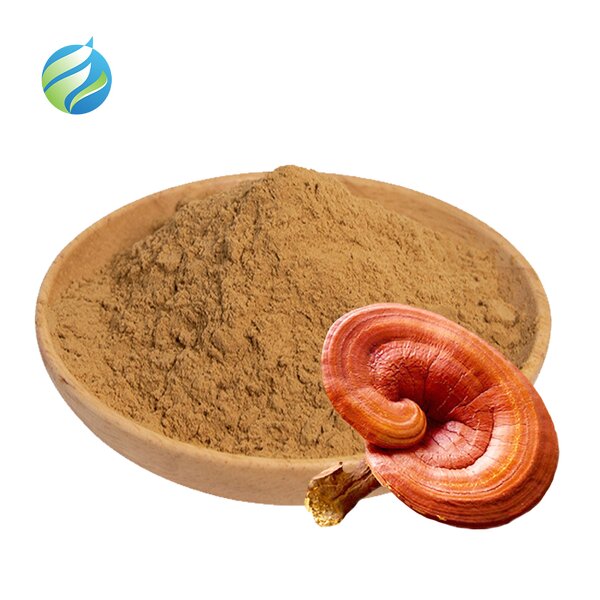 Reishi Mushroom Extract Manufacturer - Wholesale Polysaccharides 40% Pure