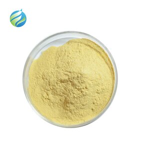 Banana Powder Manufacturer - Fruit Spray Dried Water Soluble