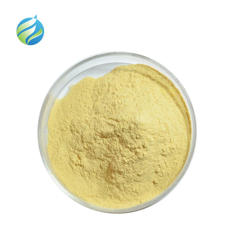 Banana Powder Manufacturer - Fruit Spray Dried Water Soluble