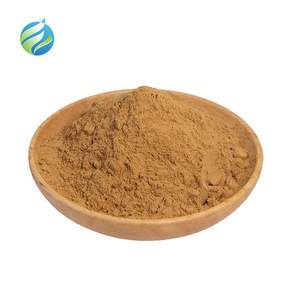 Ajuga Turkestanica Extract Manufacturer - Wholesale 2% 10% Pure Turkesterone