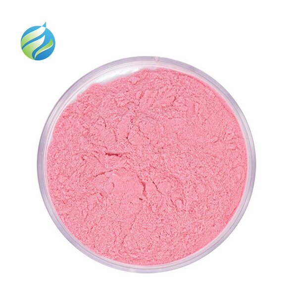 Strawberry Powder Manufacturer - Pure Natural Fruit Flavor Freeze Dried Super Food