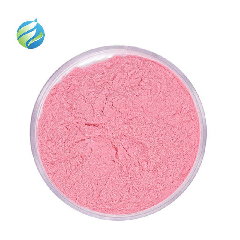 Strawberry Powder Manufacturer - Pure Natural Fruit Flavor Freeze Dried Super Food