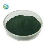 Sodium Copper Chlorophyllin Powder Manufacturer - High Quality Wholesale Price