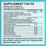 Coenzyme Q10 Gummies Manufacturer - High Absorption for Improved Heart Health