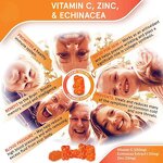 Vitamin C Gummies Manufacturer - OEM Customized Organic High-efficiency for Adults Children