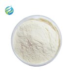 Beta Ecdysterone Powder Manufacturer - Cyanotis Arachnoidea Ecdysone Spinach Extract