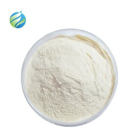 Beta Ecdysterone Powder Manufacturer - Cyanotis Arachnoidea Ecdysone Spinach Extract
