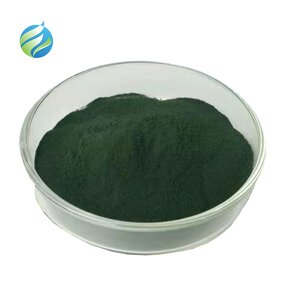 Sodium Copper Chlorophyllin Manufacturer - 100% Natural Mulberry Leaf Extract