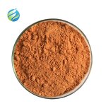 Goji Berry Extract Manufacturer - High Quality Organic Chinese Wolfberry Powder